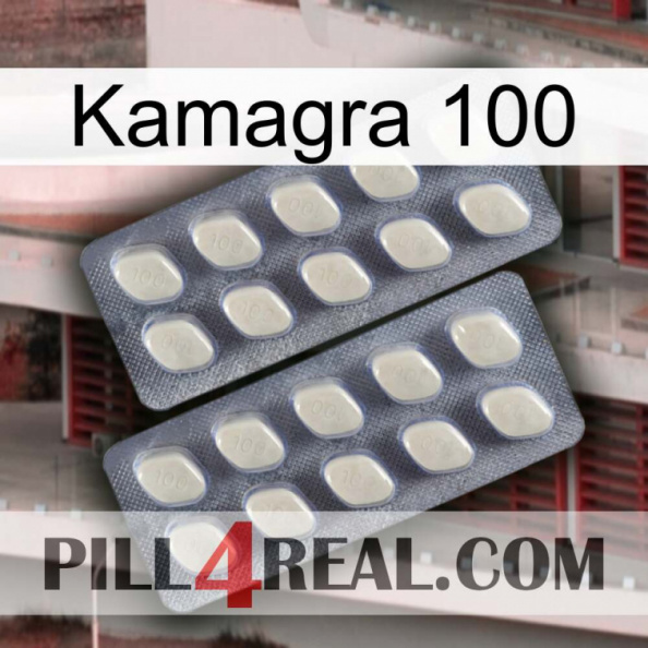 Kamagra 100 07.jpg